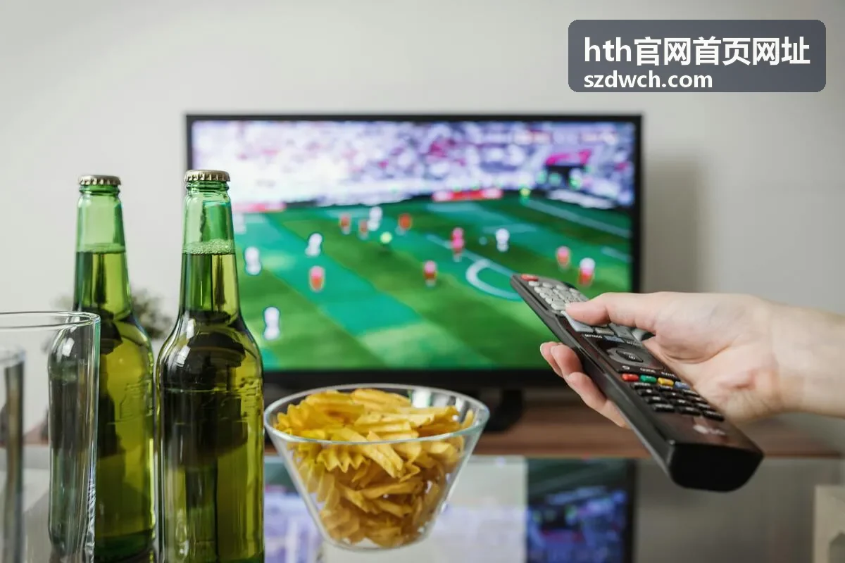 hth官网首页网址访问流程示意画面