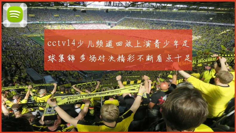 cctv14少儿频道回放上演青少年足球集锦 多场对决精彩不断看点十足